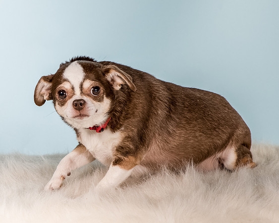 Foster Sophie-5201