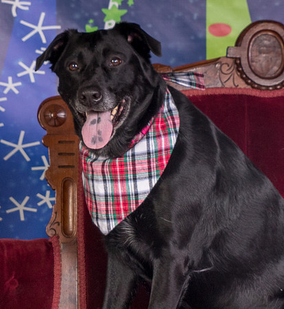 Foster Beatrice-3993