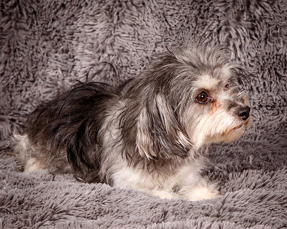 Foster Alex-6213
