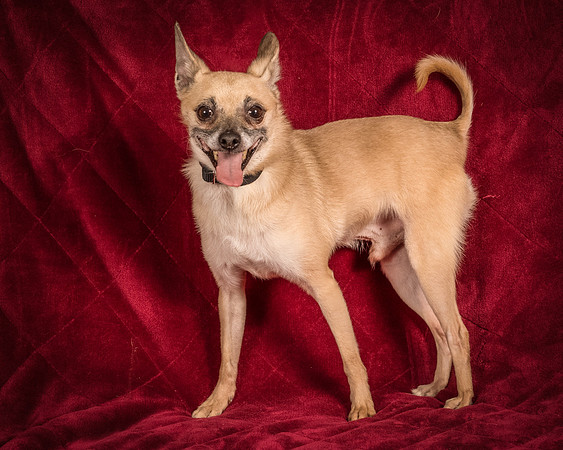 Foster Kiwi-8343