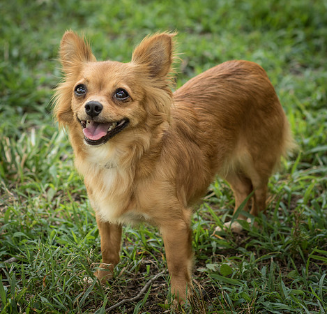 Foster Dolly-7771