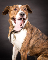Foster Coolidge-2981