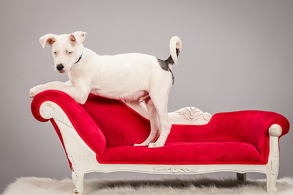 Foster Alvin-4701