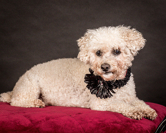 Foster Mae-9125