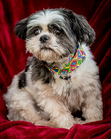 Foster Catlin-8880