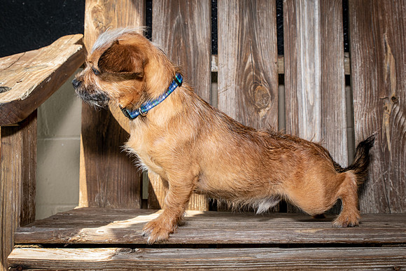 Willies Party-8553
