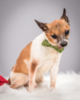 Foster Newman-3682