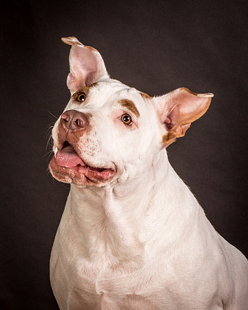 Foster Joanie-0500