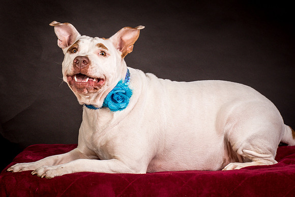Foster Joanie-0476