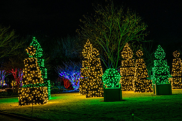 Christmas-2928