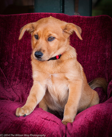 Foster Luna-9056