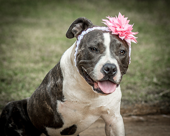 Foster Maya-0348