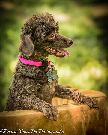 Foster Edna-2888