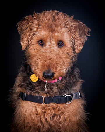 Dixie Lou-5638