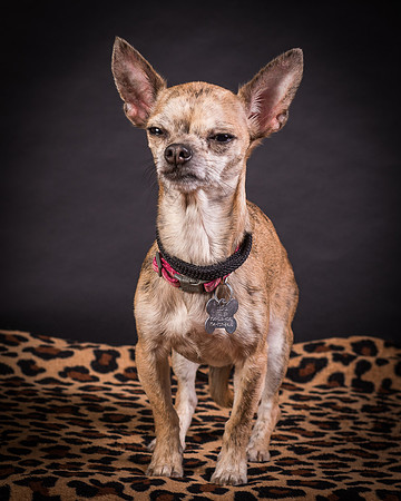 Foster Selina-1253