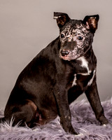 Foster Kendal-8757