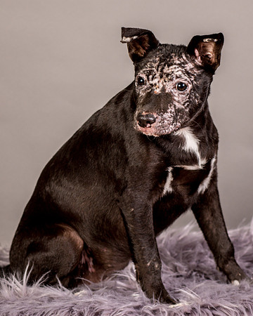Foster Kendal-8757