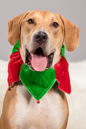Foster Troy-6275