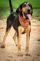 Jethro-0846