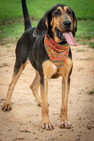 Jethro-0846
