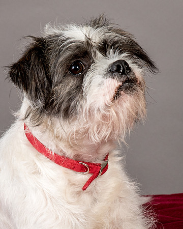 Foster Leeza-2723