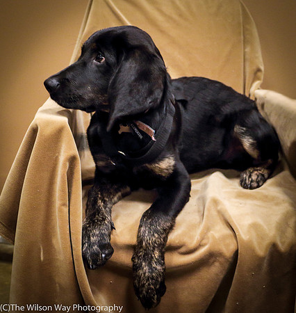 Foster Clementine-1344