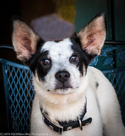 Foster Oliver-8976