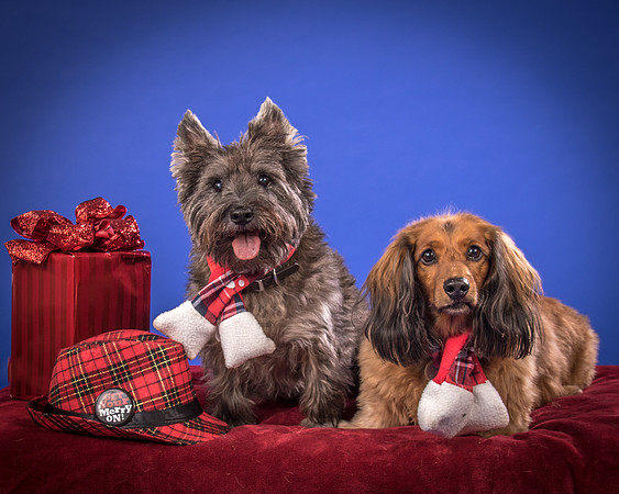 Sauls-Brodie and Baxter-5535