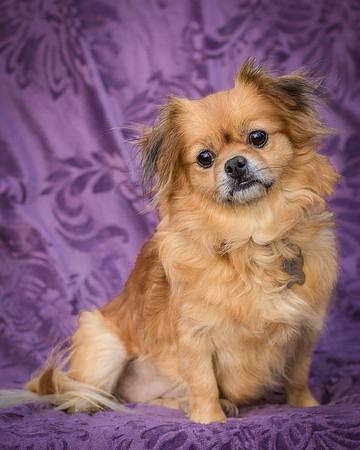 Foster Tia Maria-7911