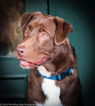Foster Coco-8786