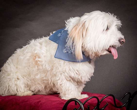 Foster Frosty-0563