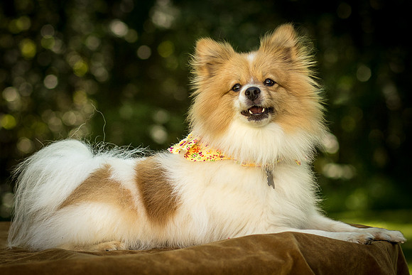 Foster Sydney-7571