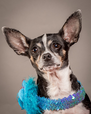 Foster Justice-4677
