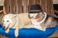 Willies Party-8503
