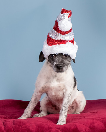 Foster Billie-8201