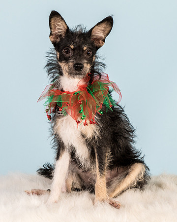 Foster Riley-5021