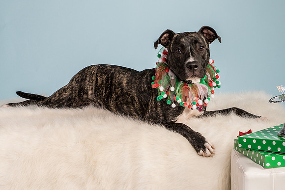 Allison-Poe-7064