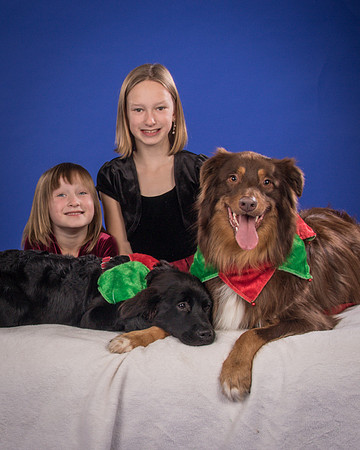 Melton-Hobble and Daisy-4647