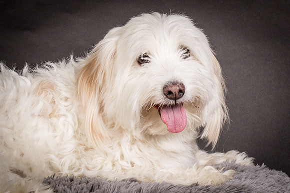 Foster Frosty-0636