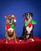 Brown-Jade and Louie-7349
