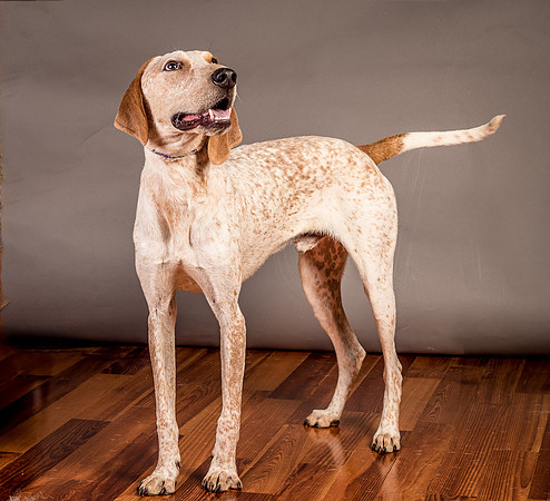 Foster Memphis-2982