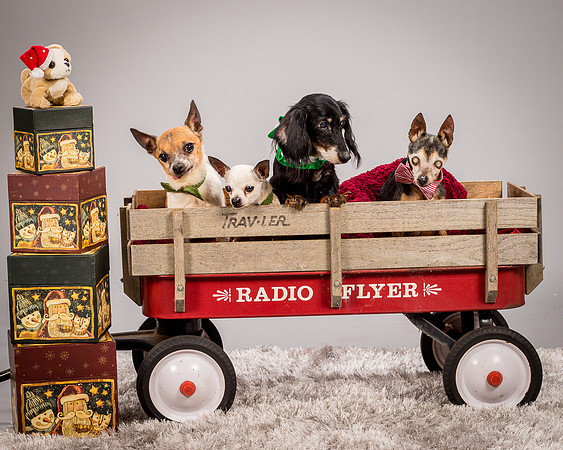 Foster Hospice Gang-3955