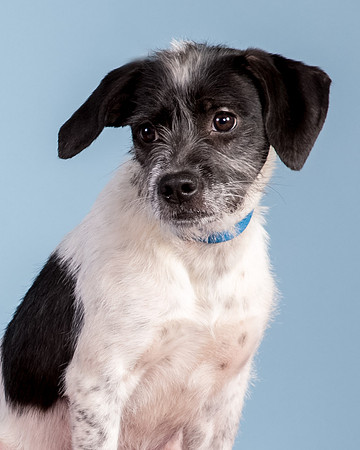 Foster Billie-8187