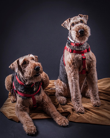 Martha May & Smitty-5081