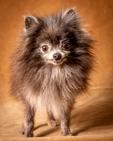 Foster Loretta-1270