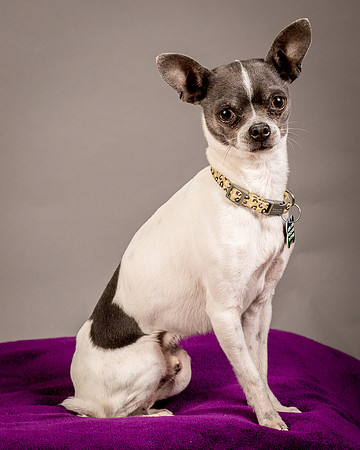 Foster Wesley-4922