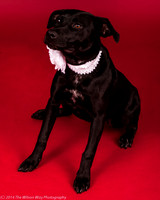 Carlee-6368