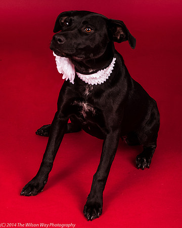 Carlee-6368