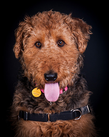 Dixie Lou-5632