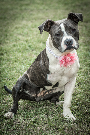 Foster Maya-0328